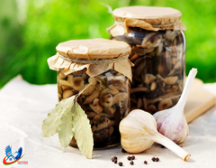 Зимние заготовки под контролем: радиологическая безопасность в ноябре