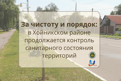 О надзоре за санитарным содержанием территорий населенных пунктов и организаций
