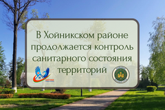 О надзоре за санитарным содержанием территорий населенных пунктов и организаций
