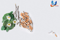 Курение: как вред разрушает организм