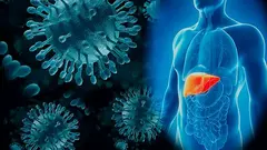 Профилактика вирусных гепатитов